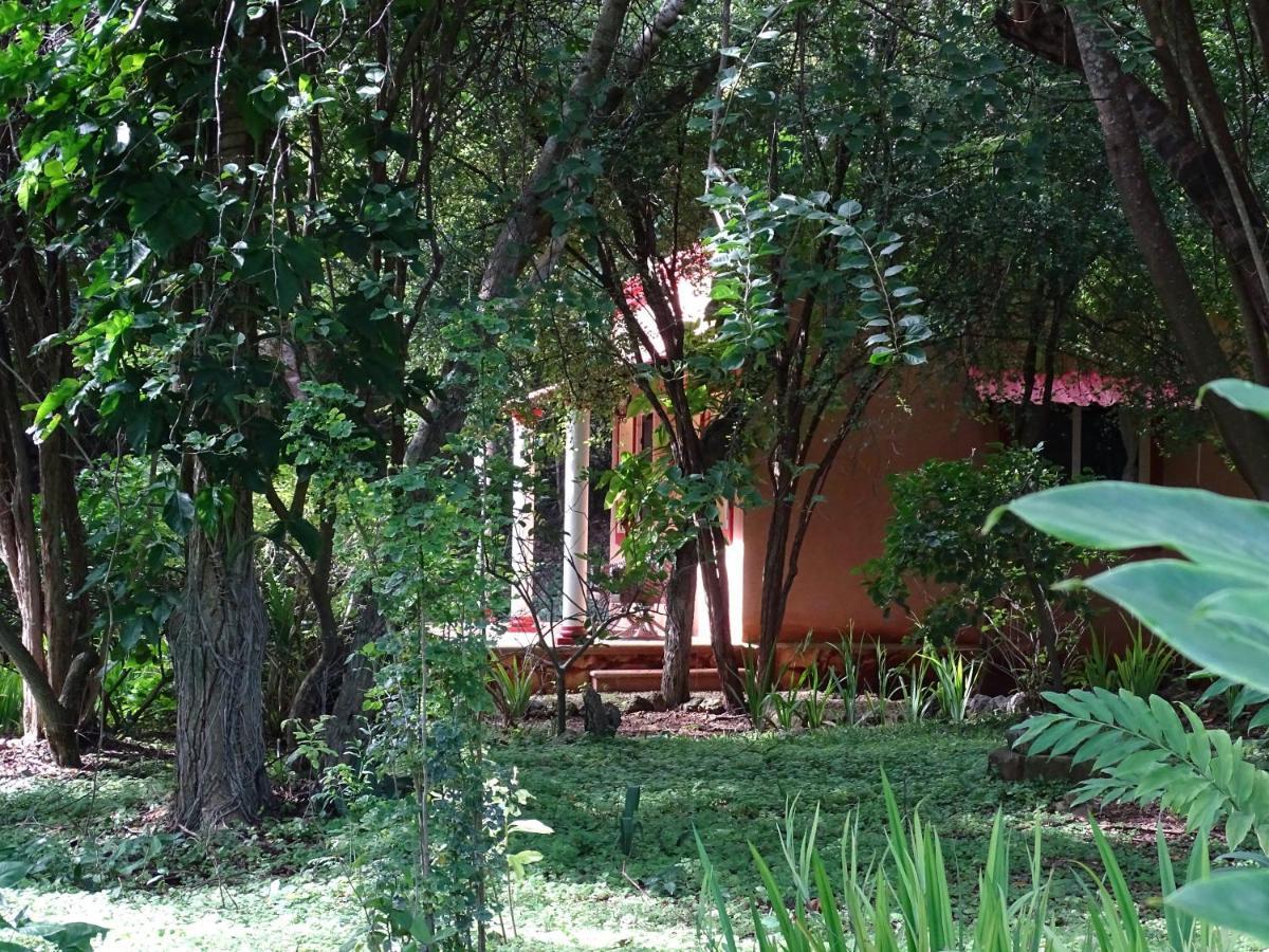 The Flycatcher Inn Retreat Hotel Santa Elena Εξωτερικό φωτογραφία
