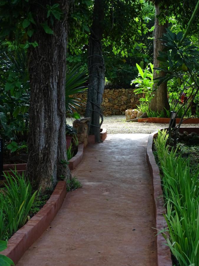 The Flycatcher Inn Retreat Hotel Santa Elena Εξωτερικό φωτογραφία